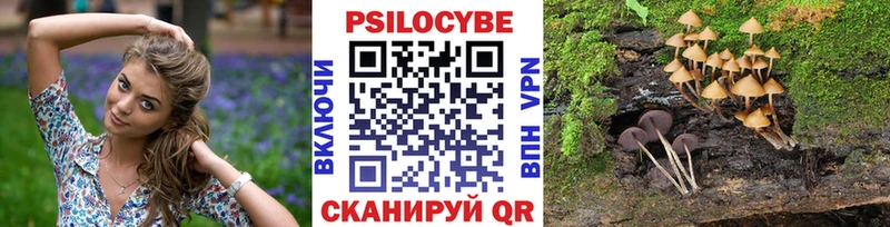 Псилоцибиновые грибы ЛСД  Семилуки 